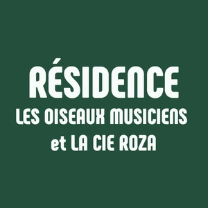 Oiseaux musiciens